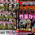 公衆肉便器 卑猥な映像 性暴力の現状3 25人